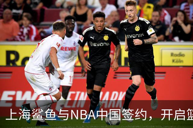 上海鲨鱼与NBA中国签约，开启篮球梦之旅！
